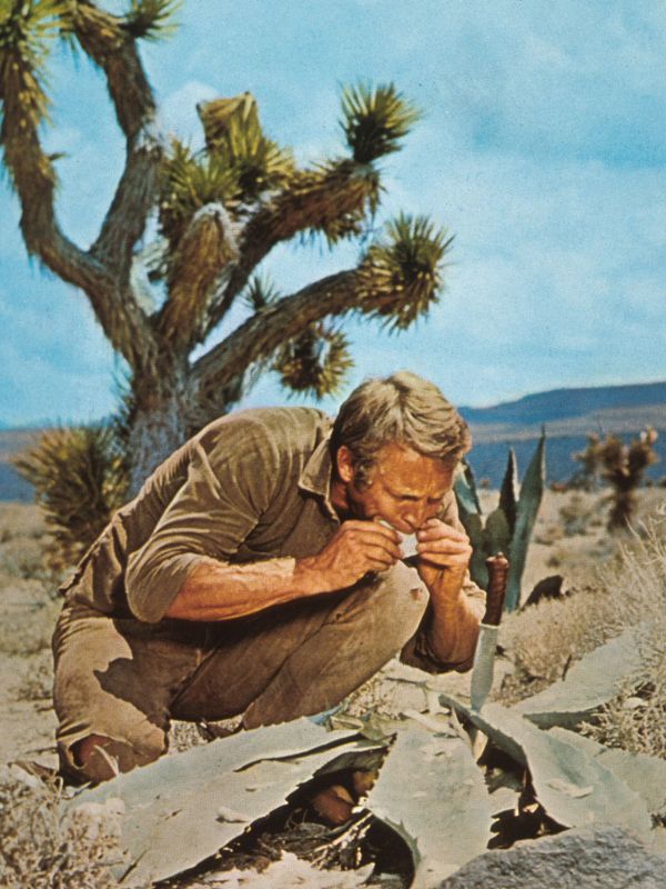 Nevada Smith (1966) Henry Hathaway Synopsis, Characteristics, Moods